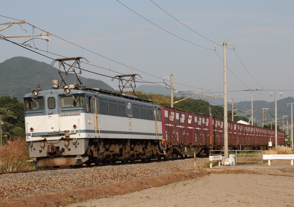 ＥＦ65-2061