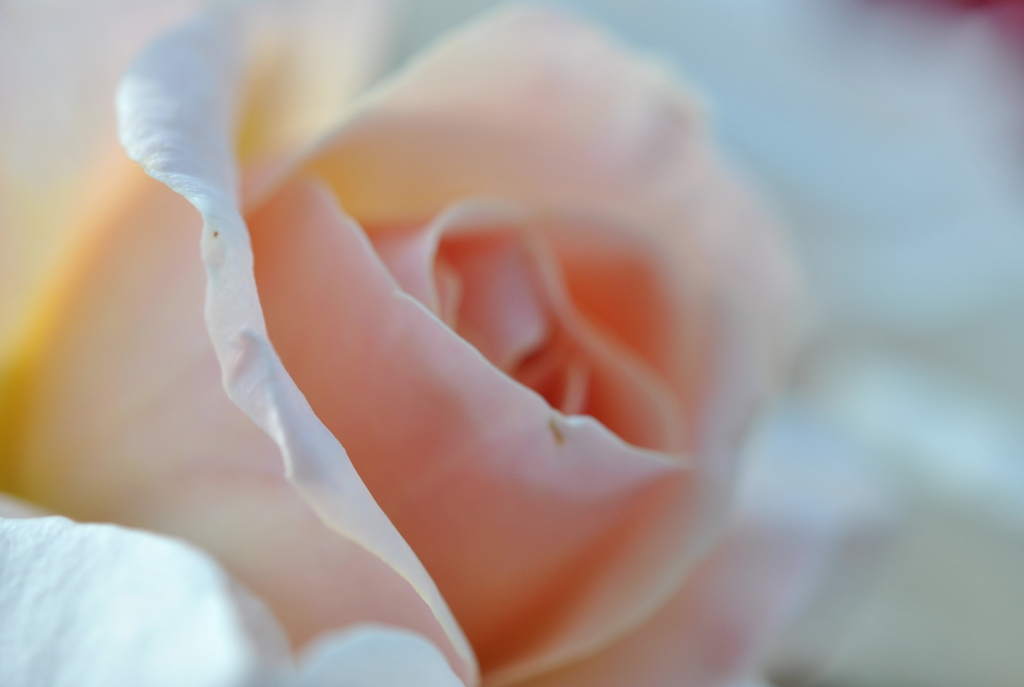 DSC_1662