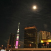 月夜のピンクスカイツリー