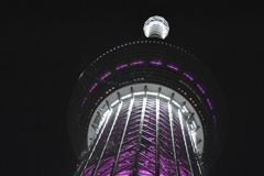 夜のpink sky tree