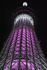 pink sky tree
