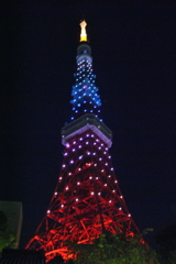 レインボーカラー　東京タワー