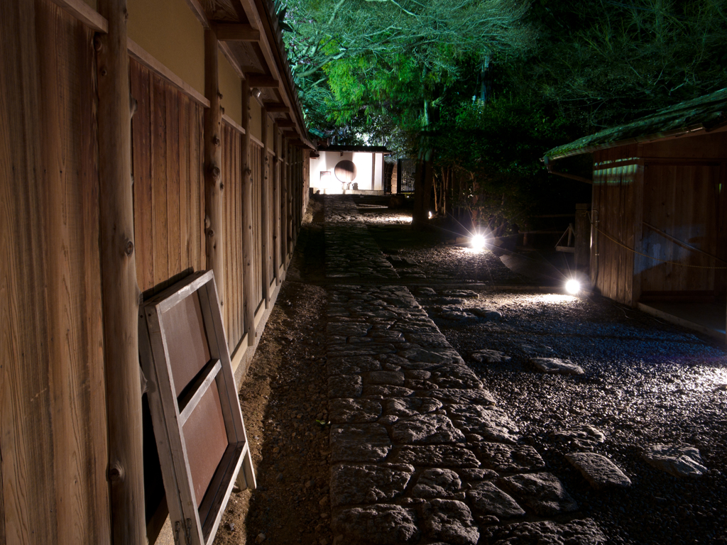 「路地」　花灯路