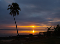 Coralcoast sunset