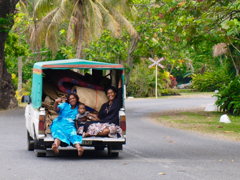 陽気なフィジアン