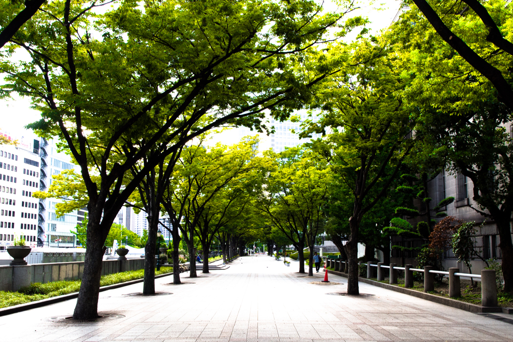 CITY & GREEN HARMONY