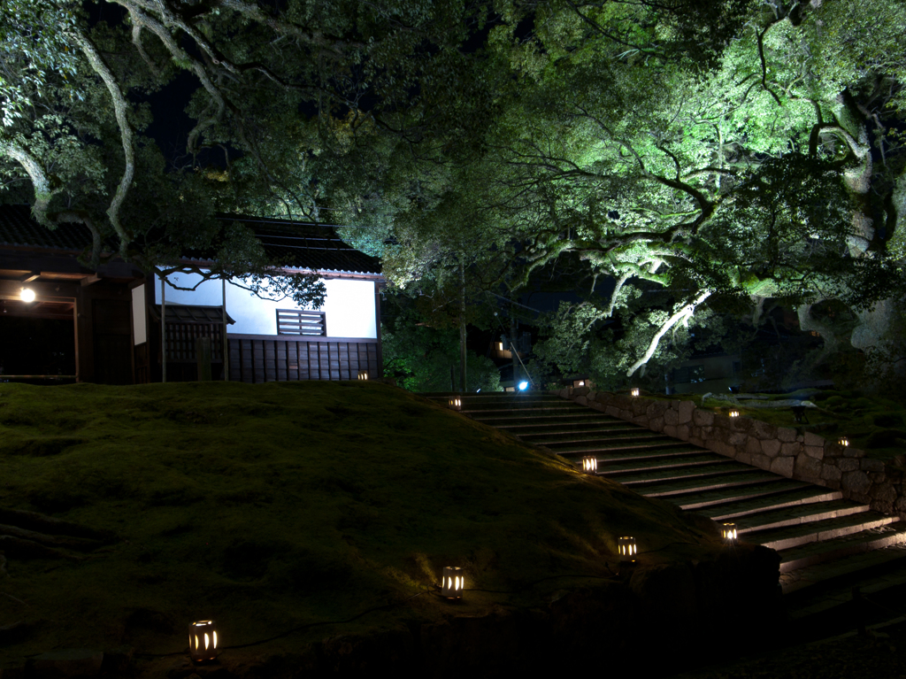 「青蓮院」　花灯路