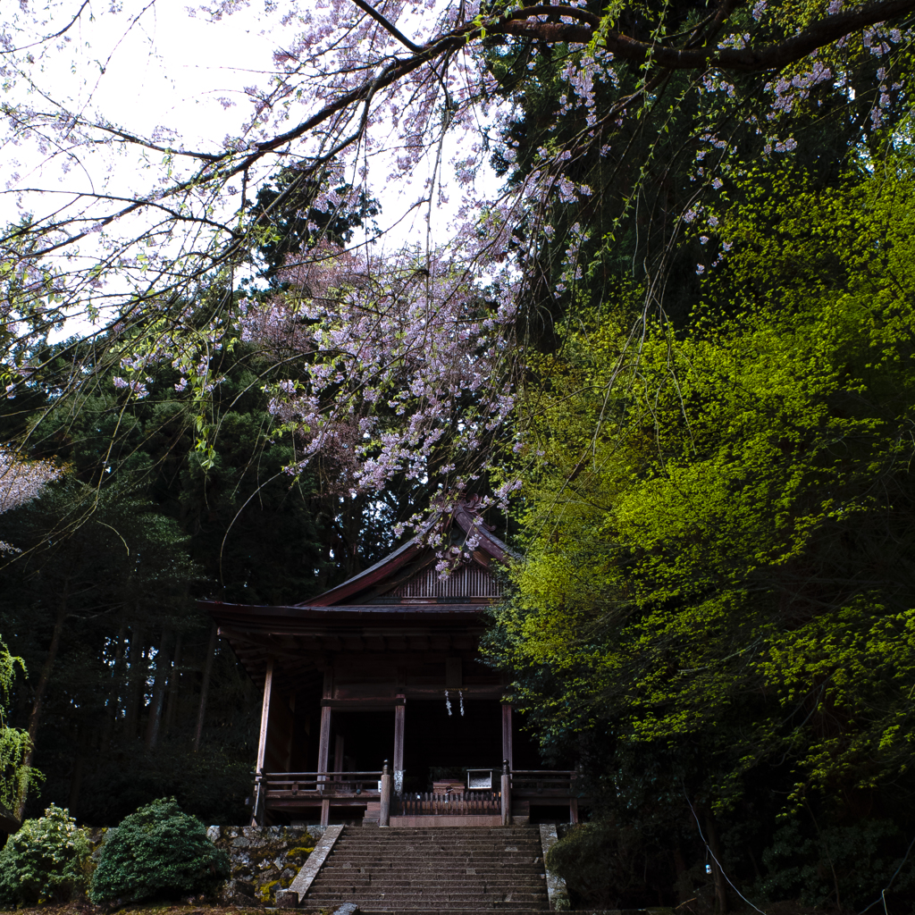 吉野　奥千本　金峯神社