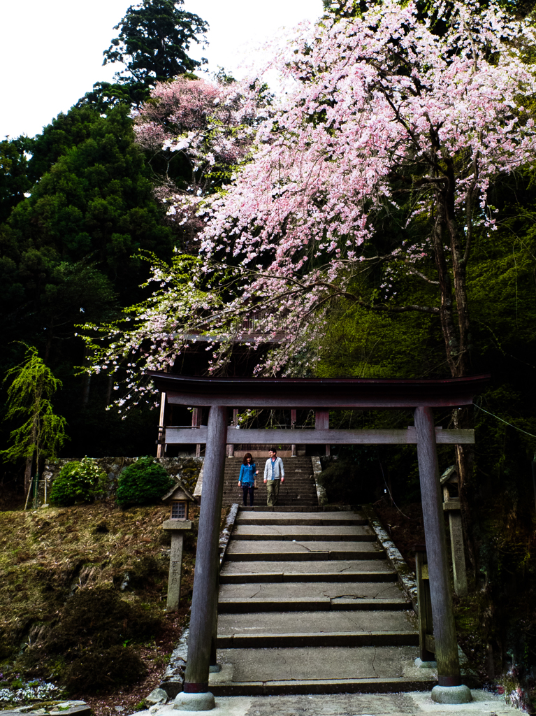 吉野　奥千本　金峯神社