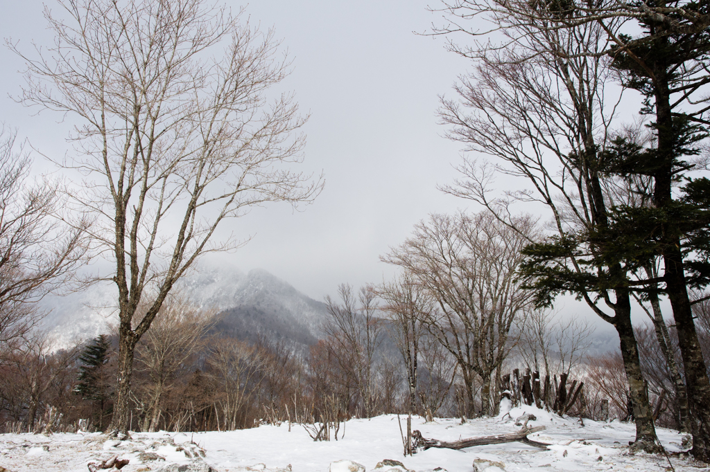 雪化粧