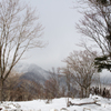 雪化粧