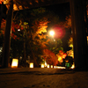 紅葉。