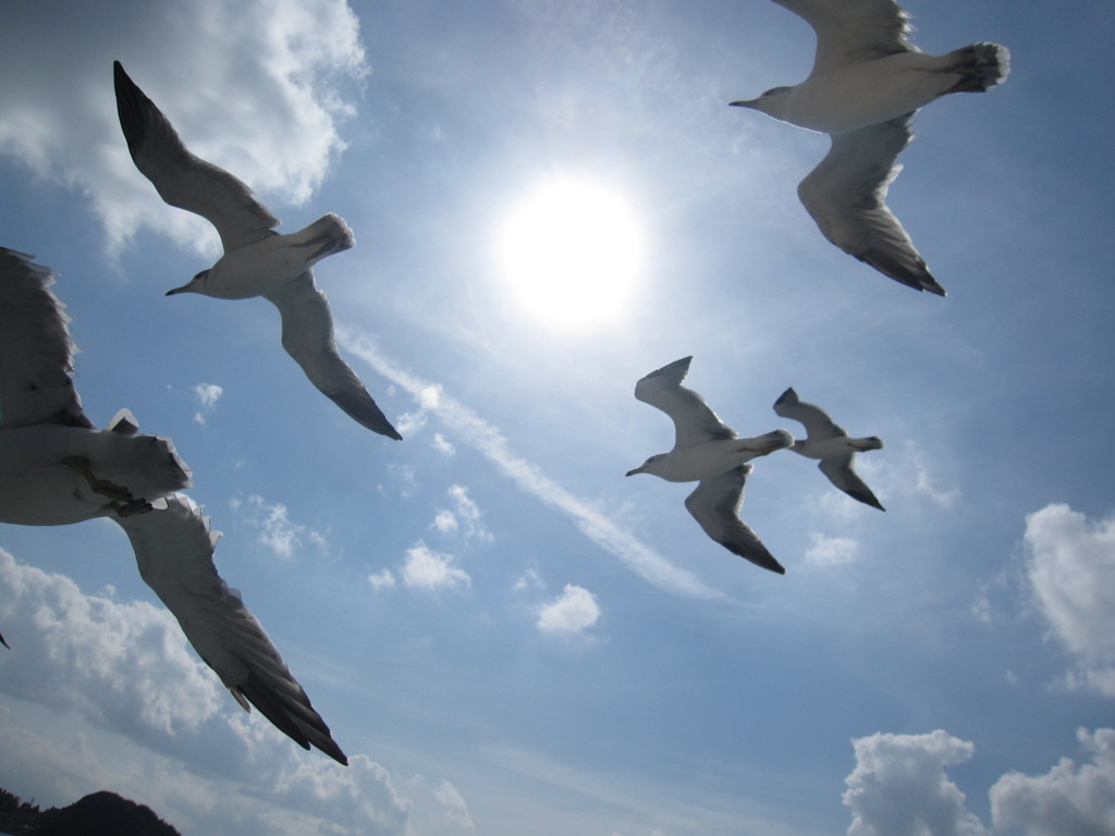 快晴の空 By とらふぐ Id 写真共有サイト Photohito