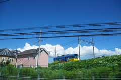 夏