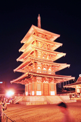 燃ゆる
