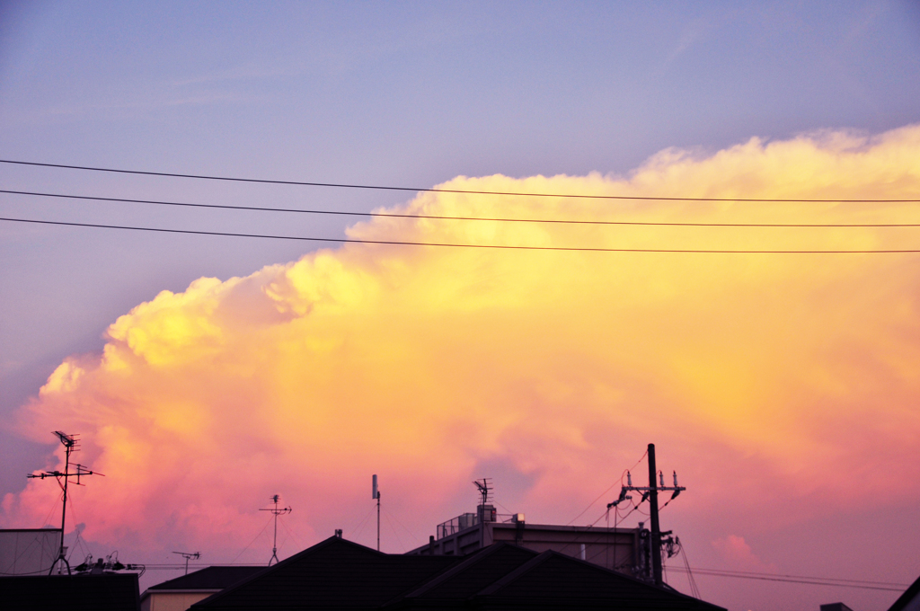 DSC_3173_edited-2