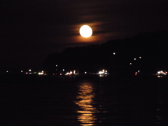 花火に負けじと。