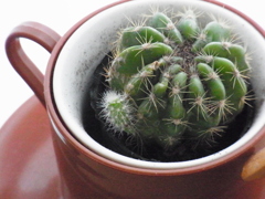 こどもができました。