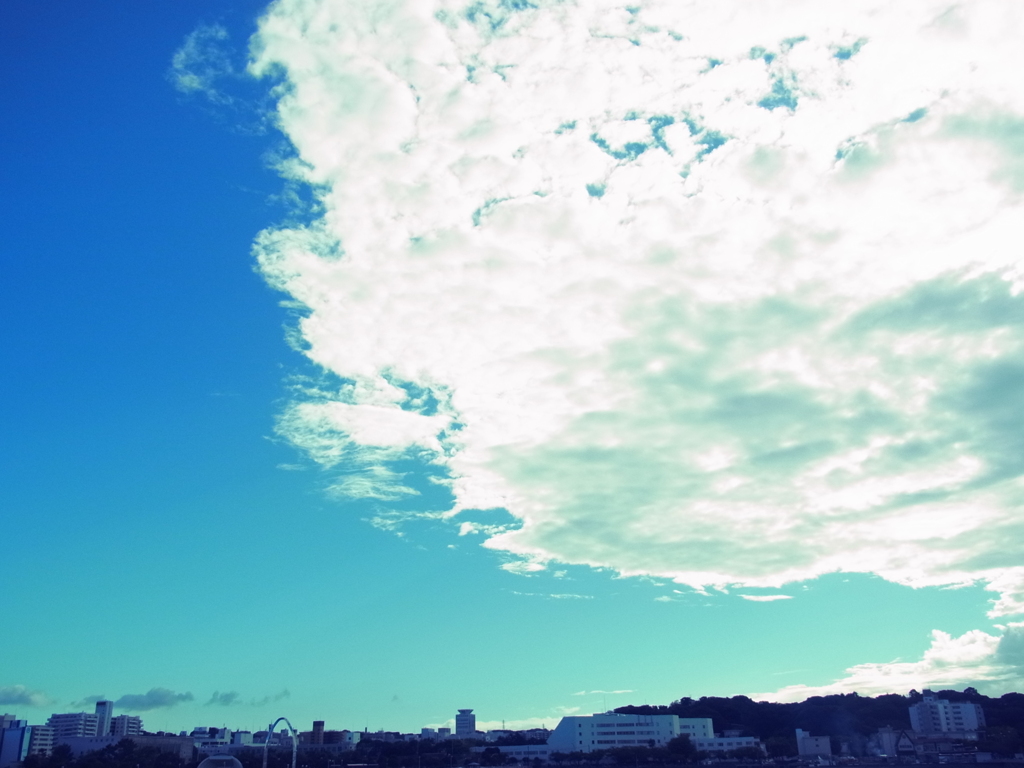 雨あがりの主張。