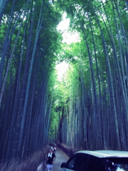 クロスプロセスな竹さん。