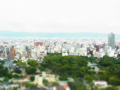 大阪なうやねん。