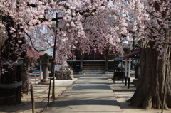 花幕
