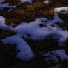 雪が融けてく