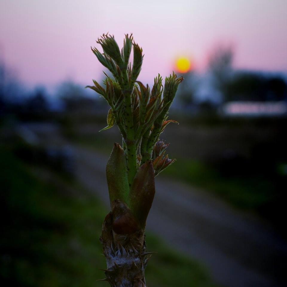 刻一刻