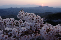 桜山脈