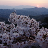 桜山脈