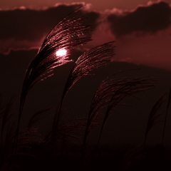 秋と夕暮れ