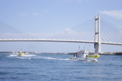_IGP4638
