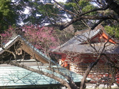 鎌倉「荏柄天神社」