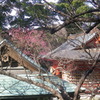 鎌倉「荏柄天神社」