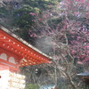 鎌倉「荏柄天神社」