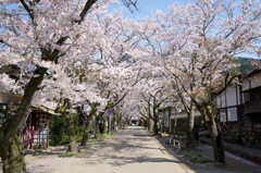 DSC00979