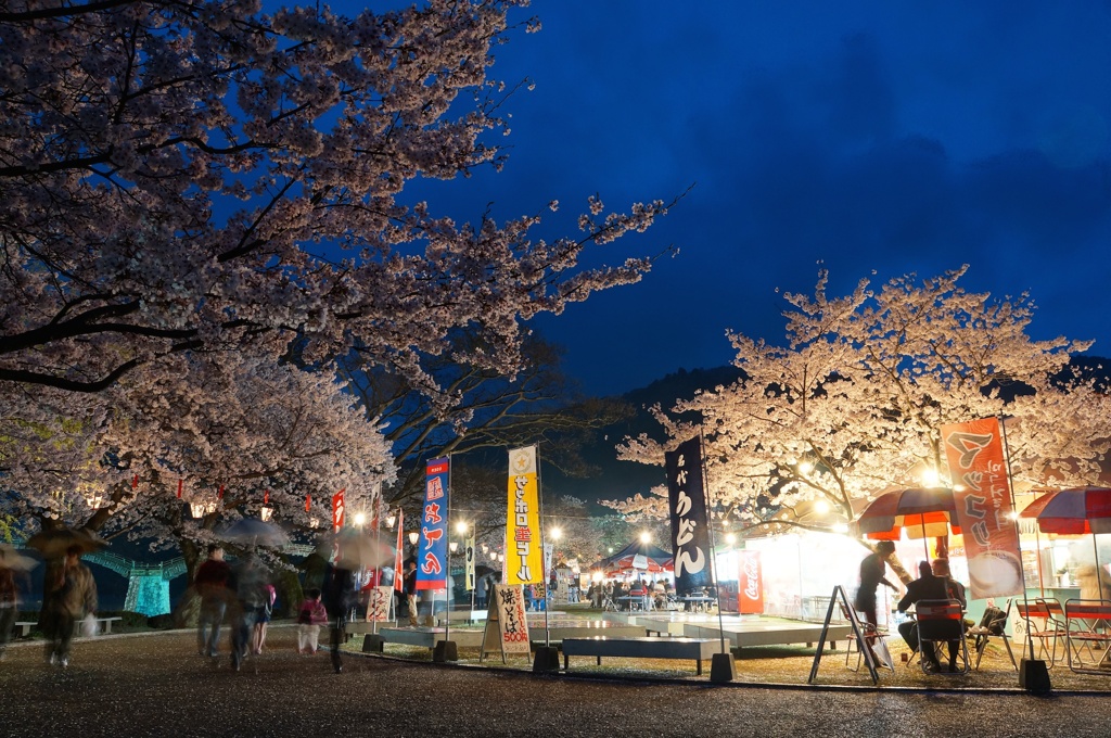桜祭り