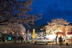 桜祭り