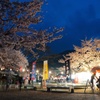 桜祭り