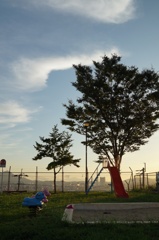 夕暮れの公園