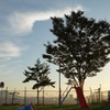 夕暮れの公園