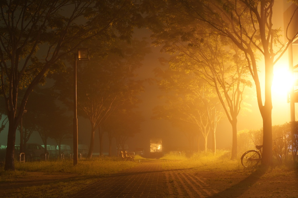 霧の夜