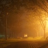 霧の夜