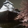 小倉城夜桜