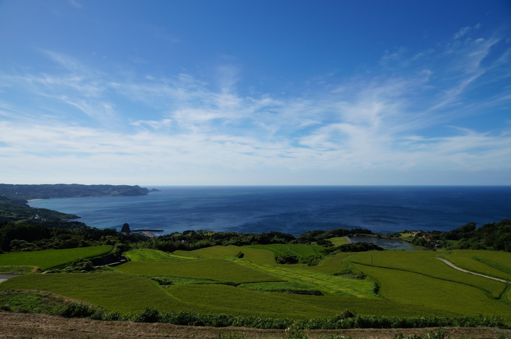 2012・晩夏の東後畑の棚田