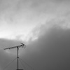 antenna