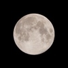 今夜の月