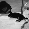 PET'S_CITY_OJIN