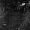 大牟田市白銀の神社の階段と鳥居