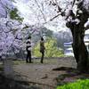 桜と二人